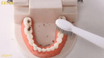 Denx - Sonic Toothbrush (Original)